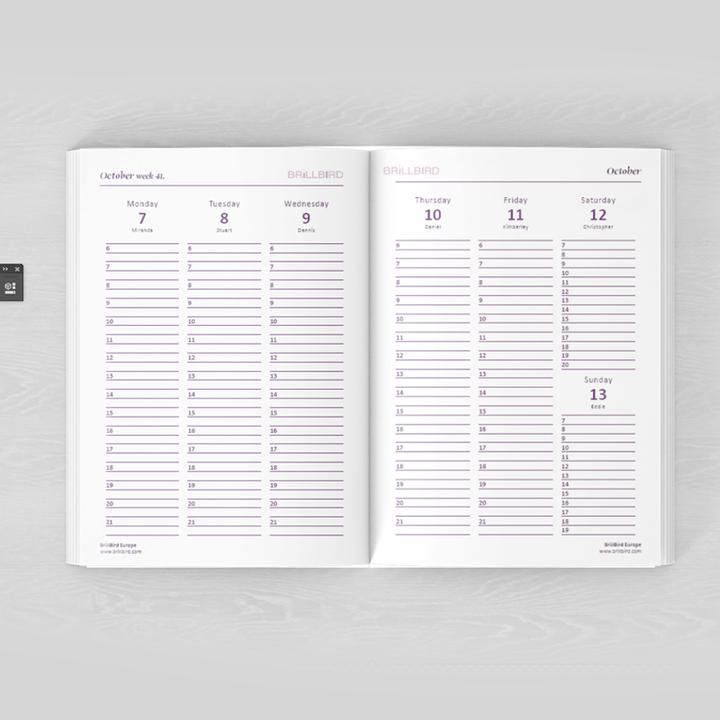 Actual product image BrillBird Calendar Agenda English 2025 (English)