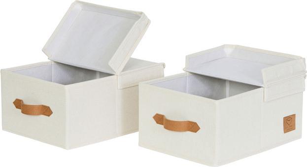 Love it Store it Premium Klappdeckelbox 2er Set - Klein (25 x 33 x 16 cm, 13.50 l)