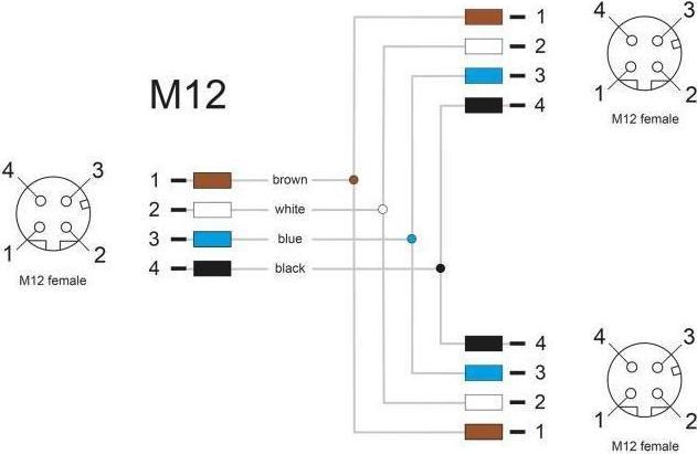 Actual product image Delock M12 T-splitter A-coded 4 pin socket to 2 x socket parallel connection