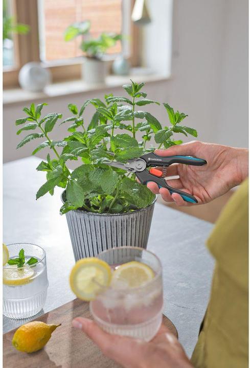 Image du produit Gardena GripCut