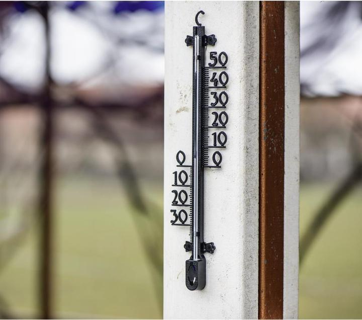 Actual product image Hama Indoor/outdoor thermometer, tree structure, 26 cm, analogue
