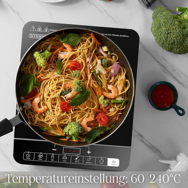 Produktbild Steinborg Induktionskochplatte