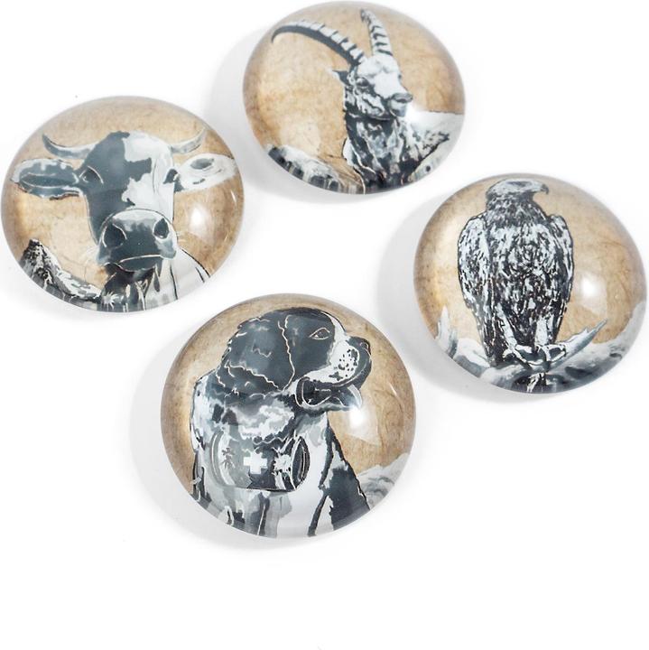 Produktbild Trendform EYE-Magnete BELLA & FRIENDS (4x)