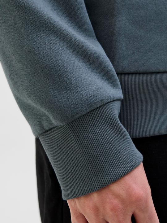 Actual product image Jack & Jones JJELOGO SWEAT HOOD 2 COL 25/26 NOOS (XXL)