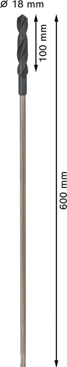 Actual product image Bosch Professional Zubehör PRO Wood HSS installation drill bit, 18 x 100 x 600 mm (18 mm)