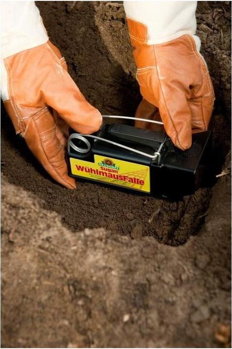 Immagine prodotto Neudorff Arvicola