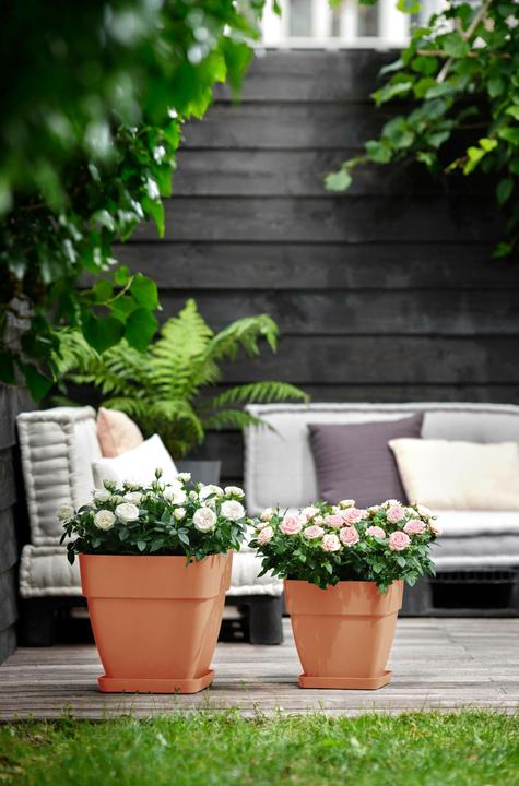 Actual product image Elho Flower box (30 x 29 x 28 cm)