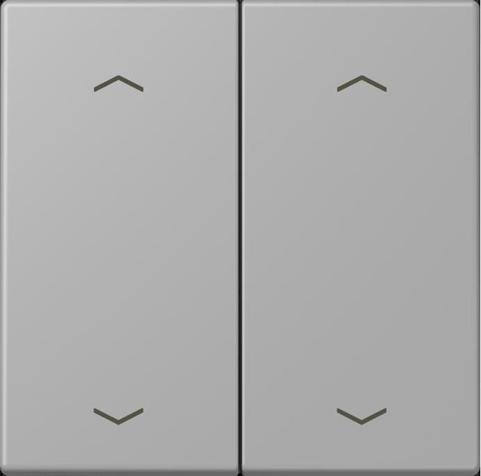 Actual product image JUNG Rocker