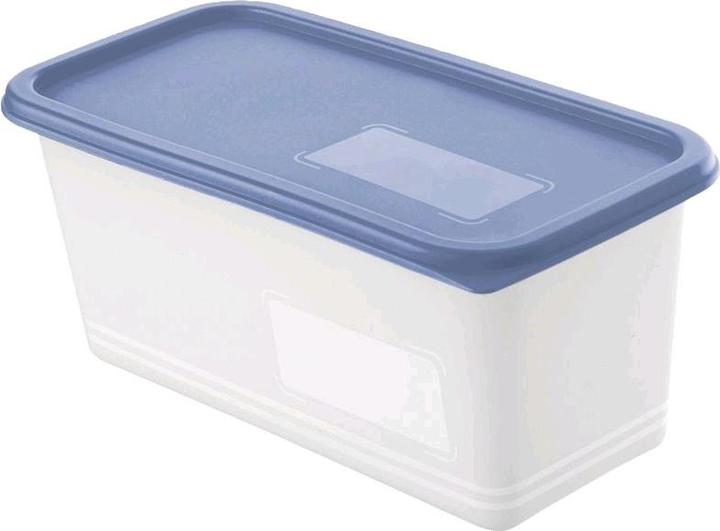 Actual product image Rotho Domino (1.50 l)