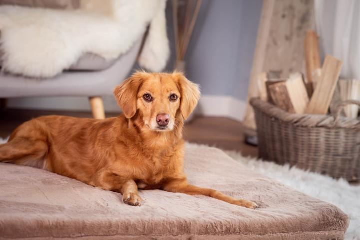 Produktbild Sabro Jokkmokk SilkTouch Hundeliegematte (Hund)