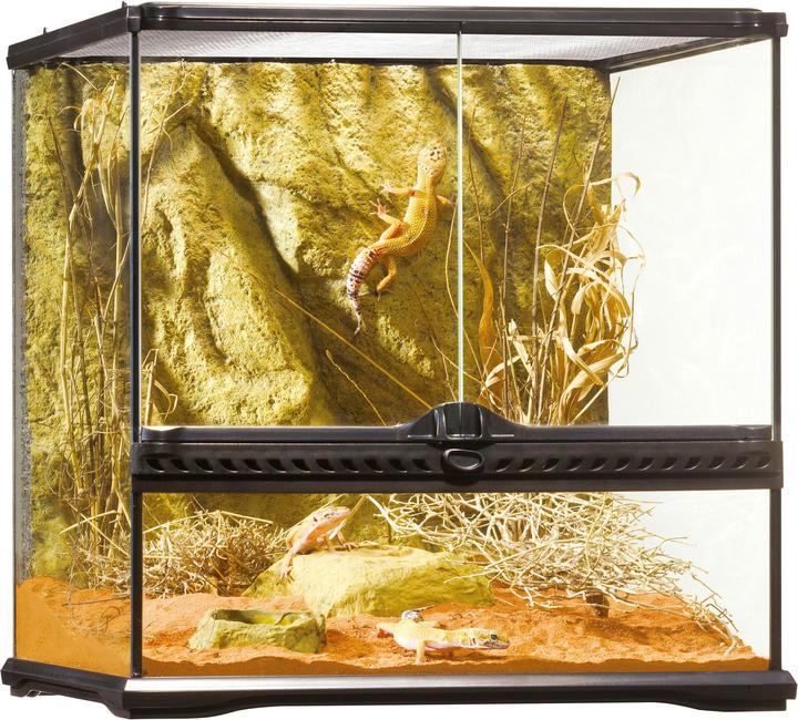 Image du produit Exo Terra Terrarium