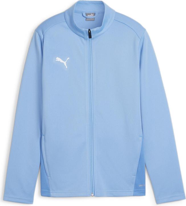 Actual product image Puma TeamGoal (122)