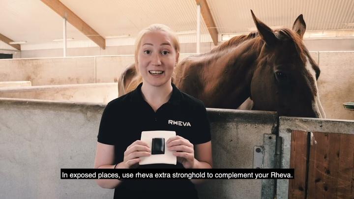 Actual product image Rheva Kombo Extra Strong Wundschutz (Cat, Dog, Horse)