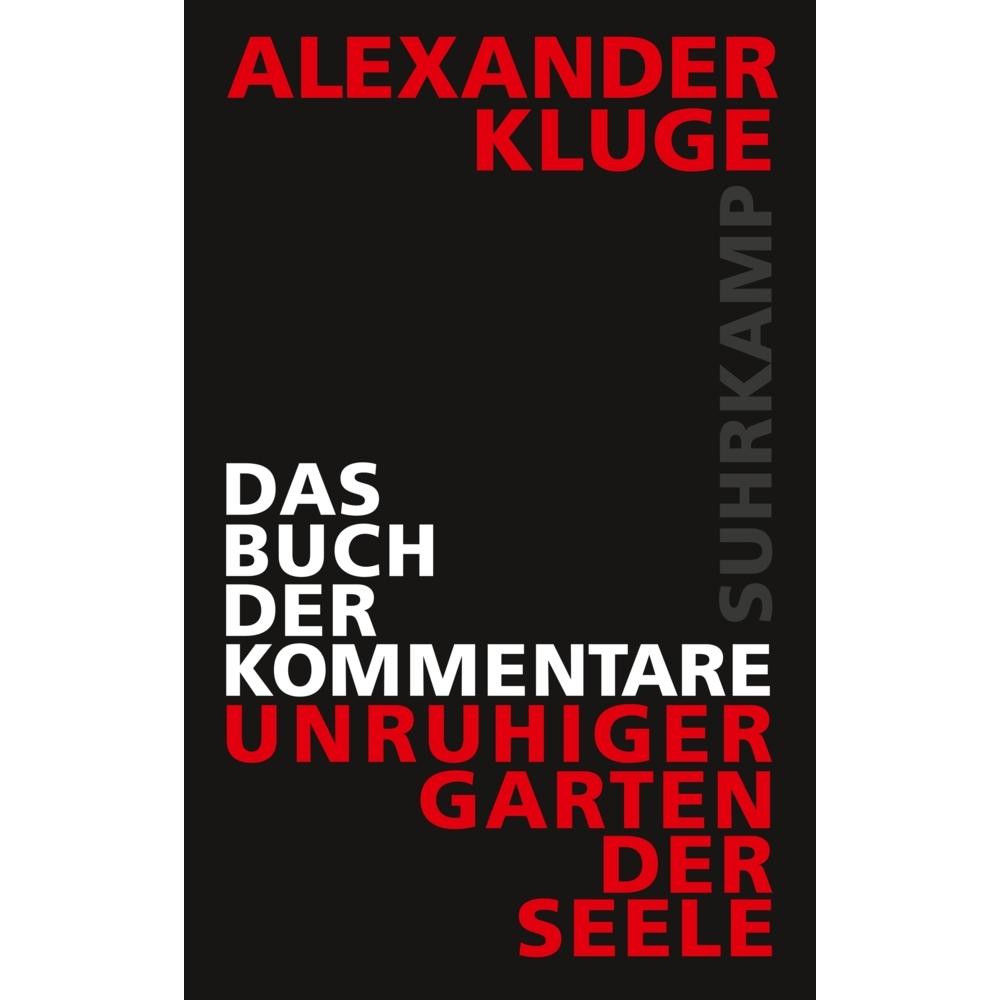 Das Buch der Kommentare, Belletristik von Alexander Kluge