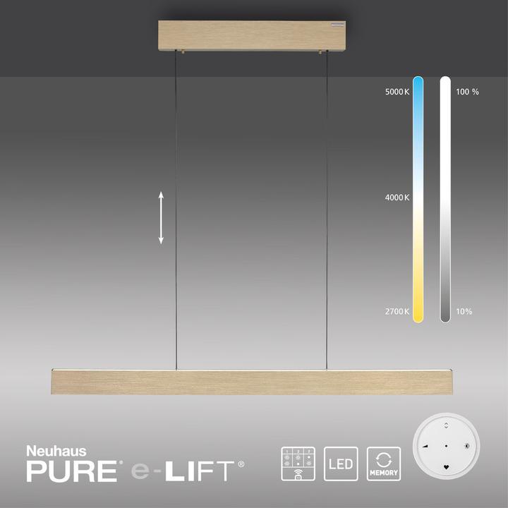 Produktbild Pure E-Motion