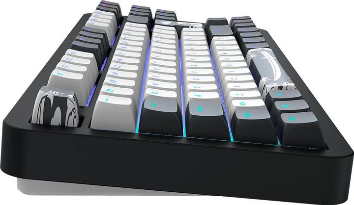 Actual product image Dark Project ALU87B BUSHIDO Wired Mechanical Gaming Keyboard, QWERTZ and QWERTY, ISO Multilingual (87 Keys)