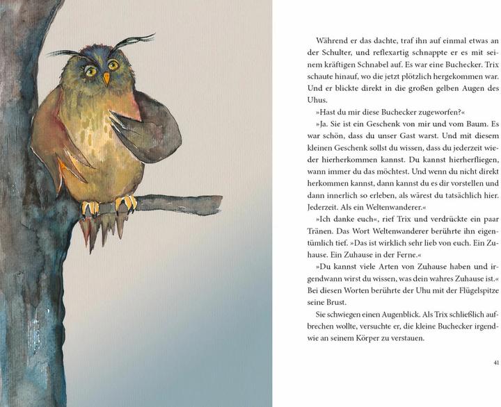 Produktbild Die magische Reise des Rauhnächte-Raben Trix (Deutsch, Franziska Muri, Vera Griebert-Schröder, 2021)