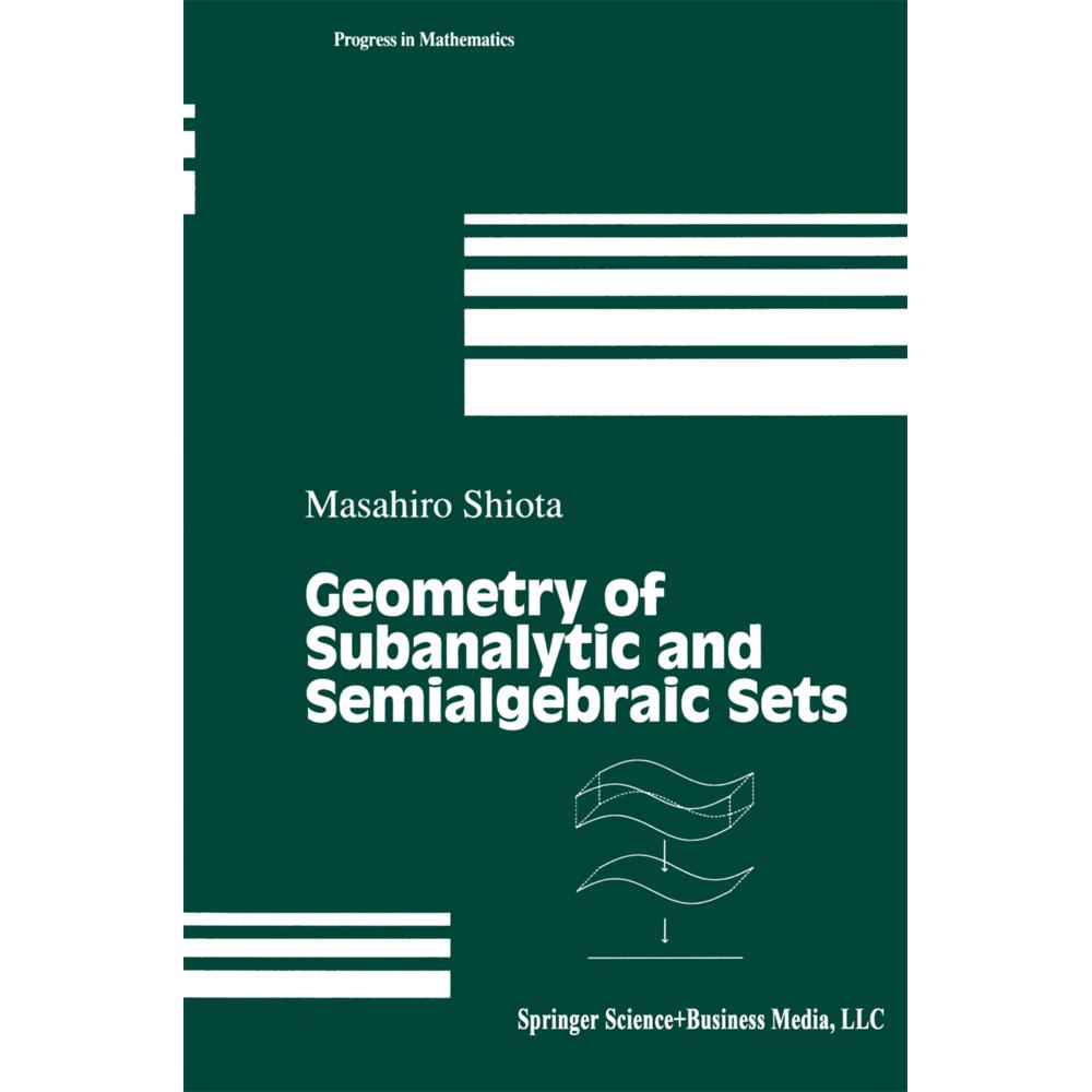 Geometry of Subanalytic and Semialgebraic Sets, Fachbücher