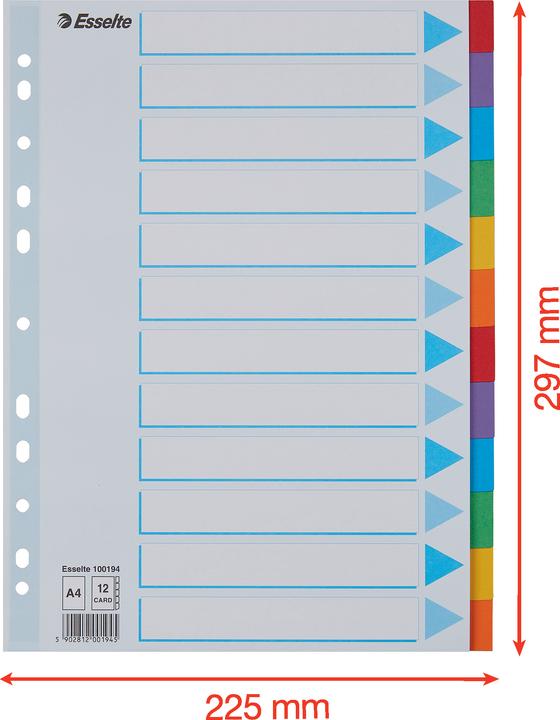 Actual product image Esselte Register cardboard colored