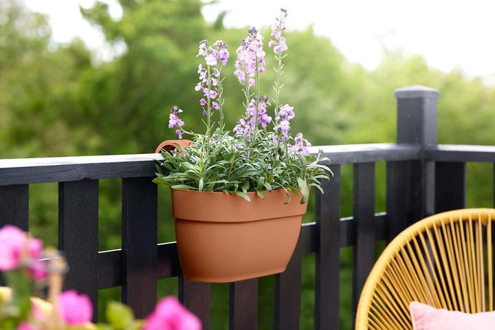 Produktbild Elho Vibia Campana Easy Hanger M (24 x 36 x 27 cm)