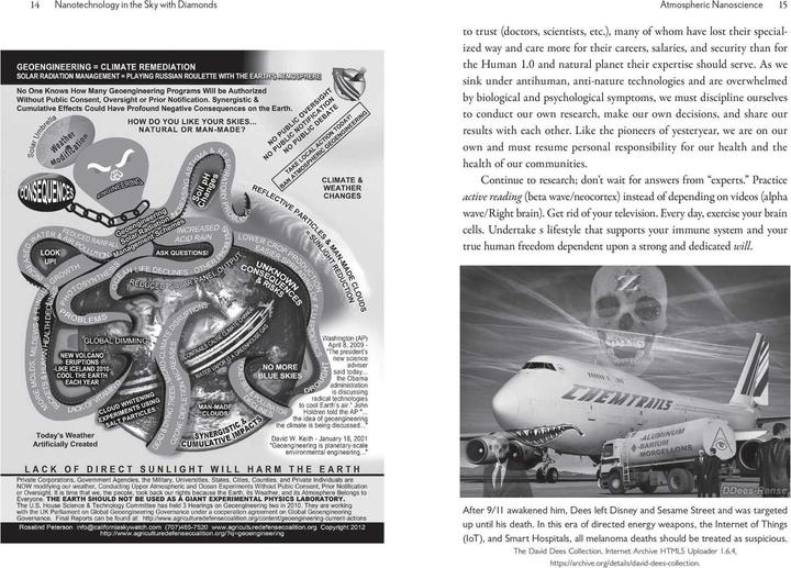 Actual product image The Geoengineered Transhuman (English, Elana Freeland, 2025)