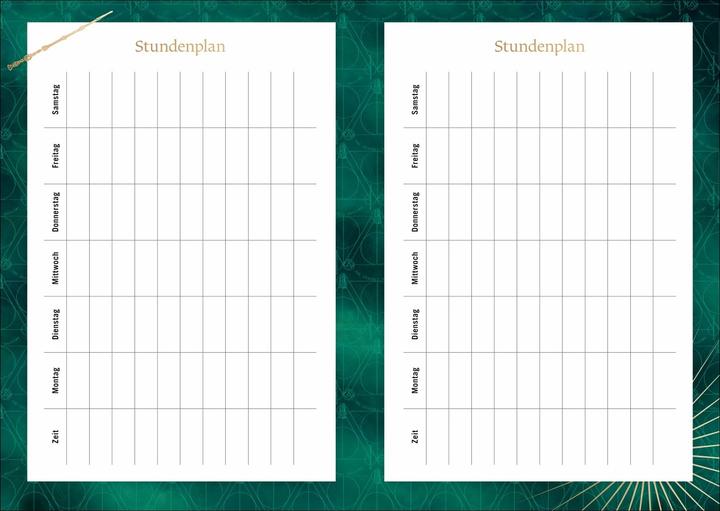 Produktbild Harry Potter Schülerkalender A5 2026 - 17 Monate ab August 2025 (A5, Deutsch)