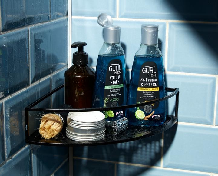 Actual product image Guhl Men Full & Strong Shampoo invigorating (250 ml, Liquid shampoo)