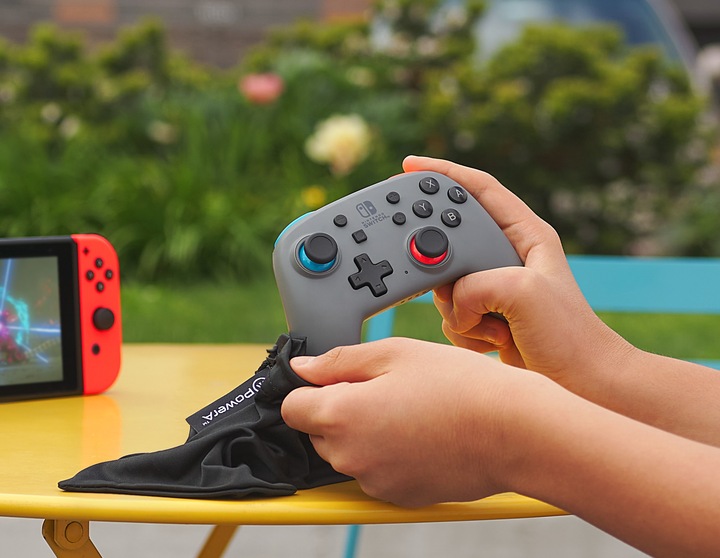 Actual product image NGS Nano (Switch Lite, Switch)