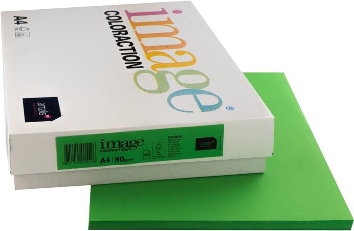 Actual product image Image Copy paper Dublin A4 (80 g/m², 500 x, A4)
