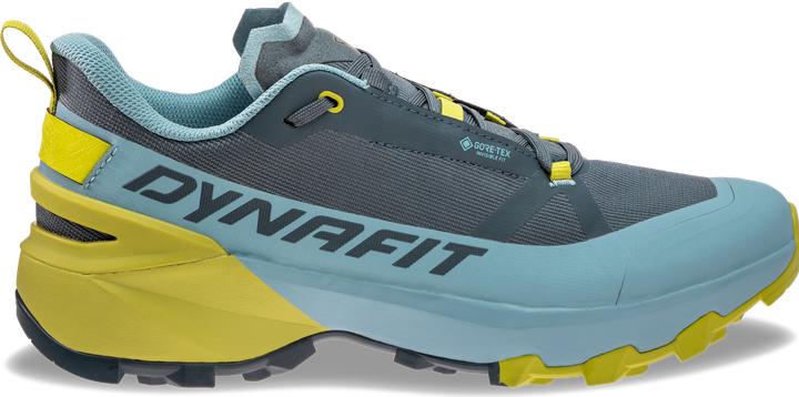 Produktbild Dynafit Transalper 2 GTX (47)