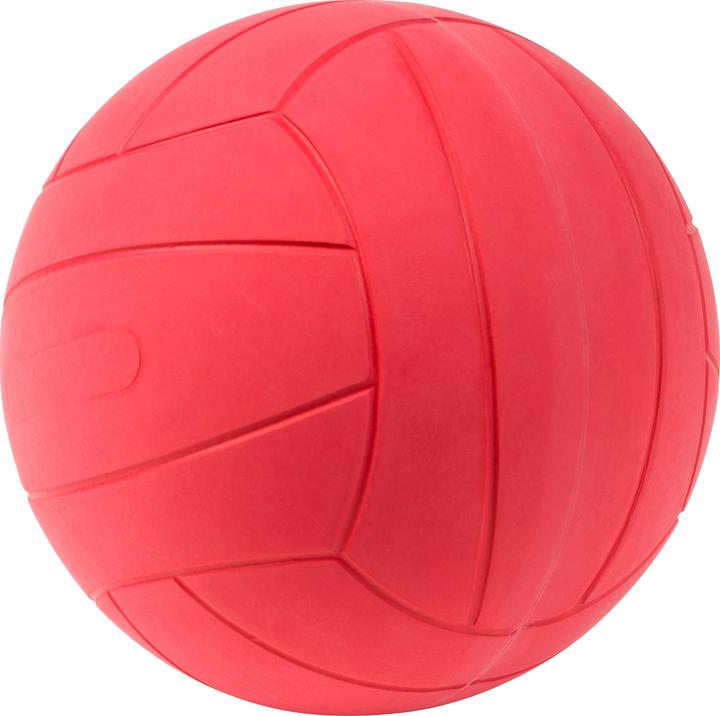 Produktbild WV Ball Blindenfussball