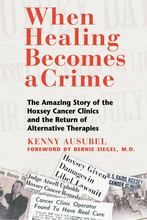 Produktbild When Healing Becomes a Crime (Englisch, Kenny Ausubel, 2000)