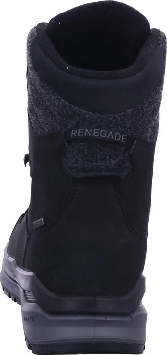 Actual product image Lowa Renegade Evo Ice 2 GTX (42.5)