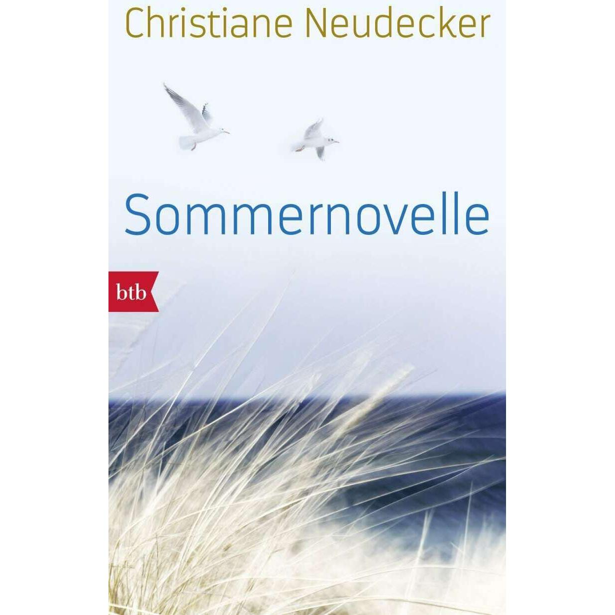 Sommernovelle, Belletristik von Christiane Neudecker
