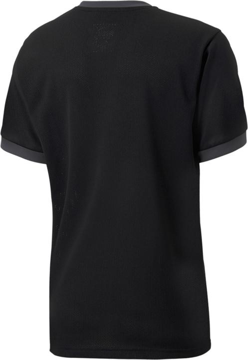 Actual product image Puma teamGOAL 23 Jersey jr-704160 (128)
