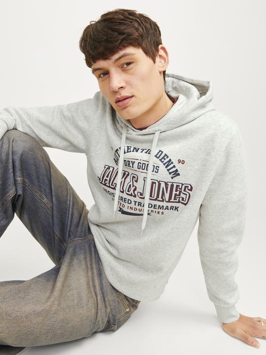 Immagine prodotto Jack & Jones JJELOGO SWEAT HOOD 2 COL 24/25 NOOS (XXL)