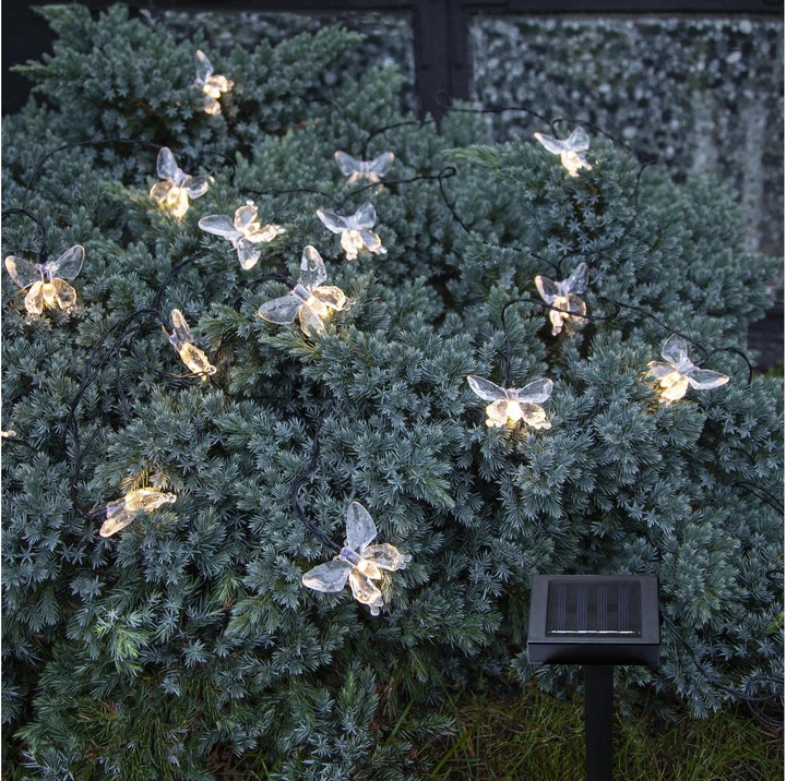 Produktbild Star Trading Papillon (0.18 m)