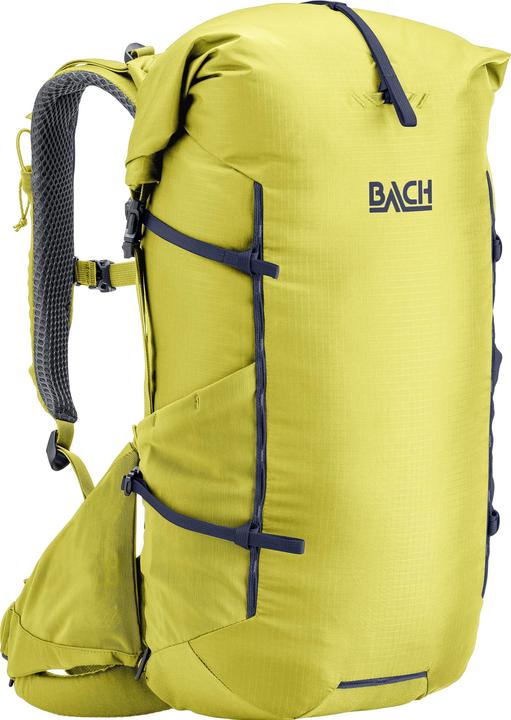 Bach Molecule 30 (30 l)