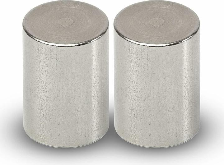 Produktbild Maul 2 Magnete silber Ø 2,0 x 2,5 cm (2x)