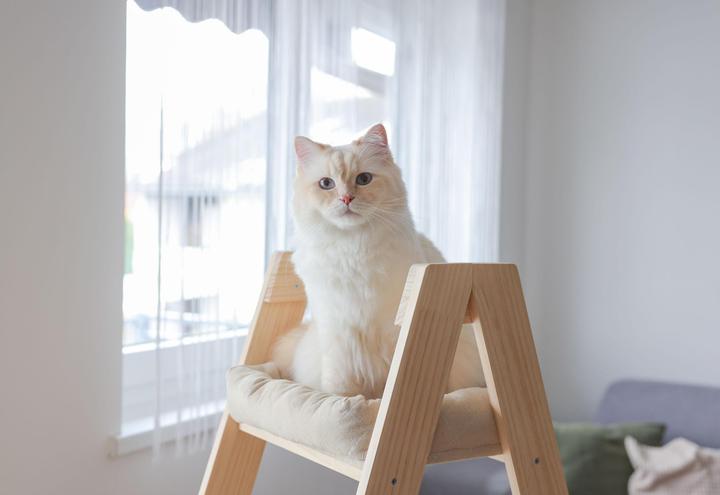 Produktbild Kerbl Kratzbaum Ladder für Katzen (134 cm, Beige, Braun, Wood colour)