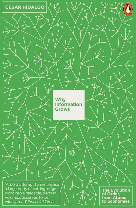 Produktbild Why Information Grows (Englisch)