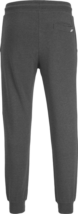 Actual product image Jack & Jones Gordon (XL)