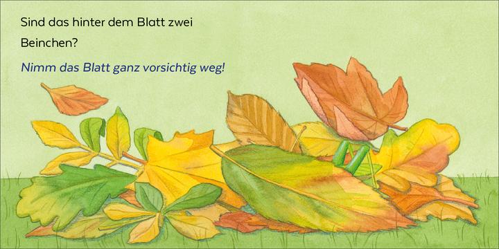 Image du produit Brosche:Wer hat sich denn hier versteck (Allemand, Broche Heidemarie, Mele Brink, 2025)