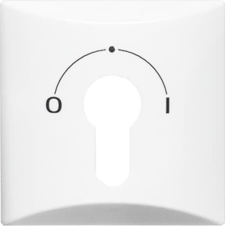 Actual product image Busch-Jaeger Central disk