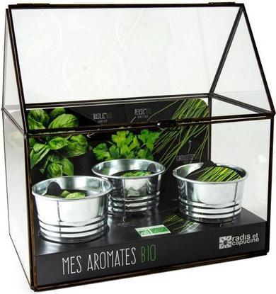 Radis et Capucine Kas chassis