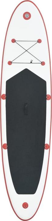 Image du produit vidaXL Vitalya (10'10")