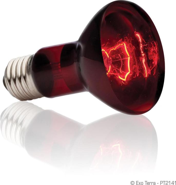 Immagine prodotto Exo Terra Punto di abbronzatura a infrarossi