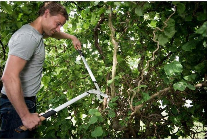 Image du produit Fiskars Sécateur à enclume Quantum, 80 c