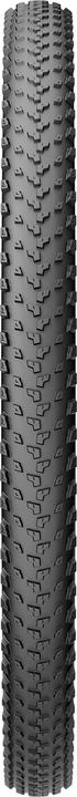 Actual product image Pirelli Scorpion Sport XC M ProWall (29 x 2.20)