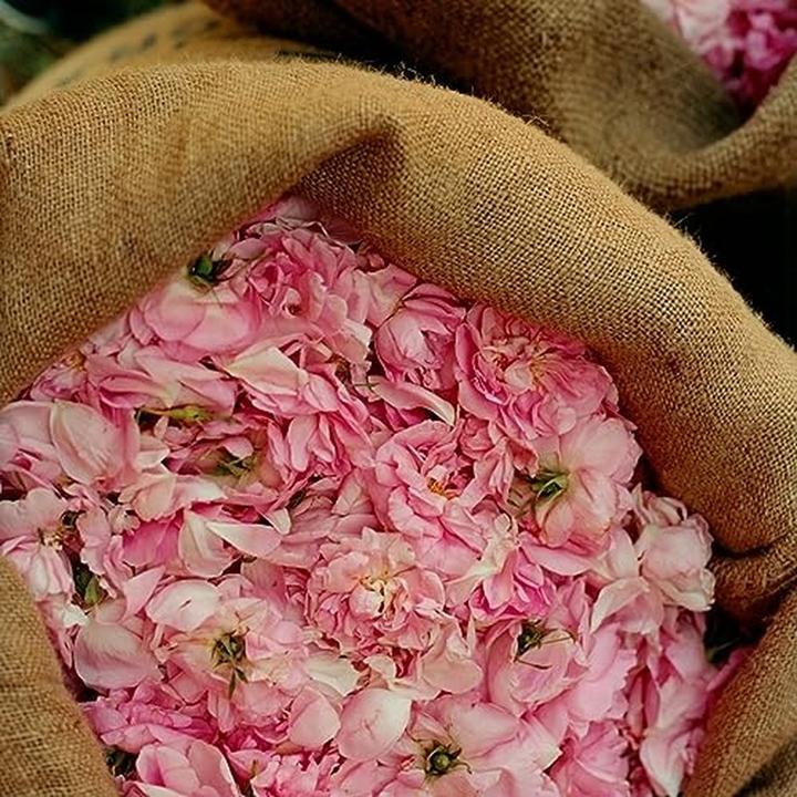 Immagine prodotto L'Occitane Lozione per il corpo alla rosa (Latte corpo, 250 ml)